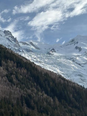 Chamois blanc / Chamonix